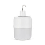 Bombillo Led Solar 30W