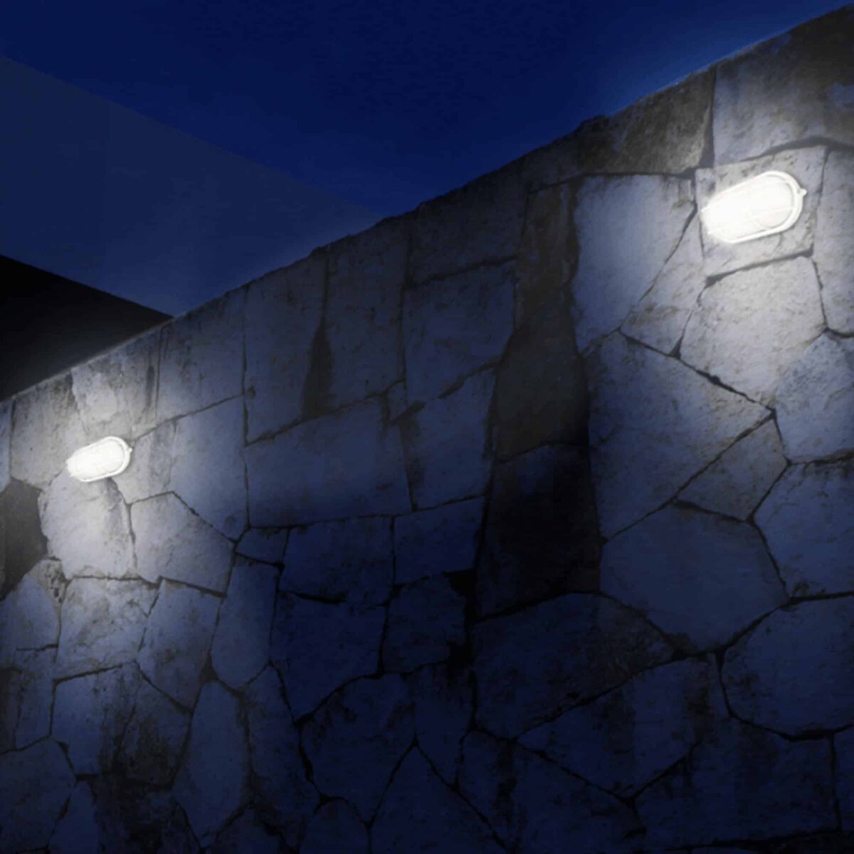 Aplique Tortuga Blanco Para Bombillo Led Max 9W - Imagen 6
